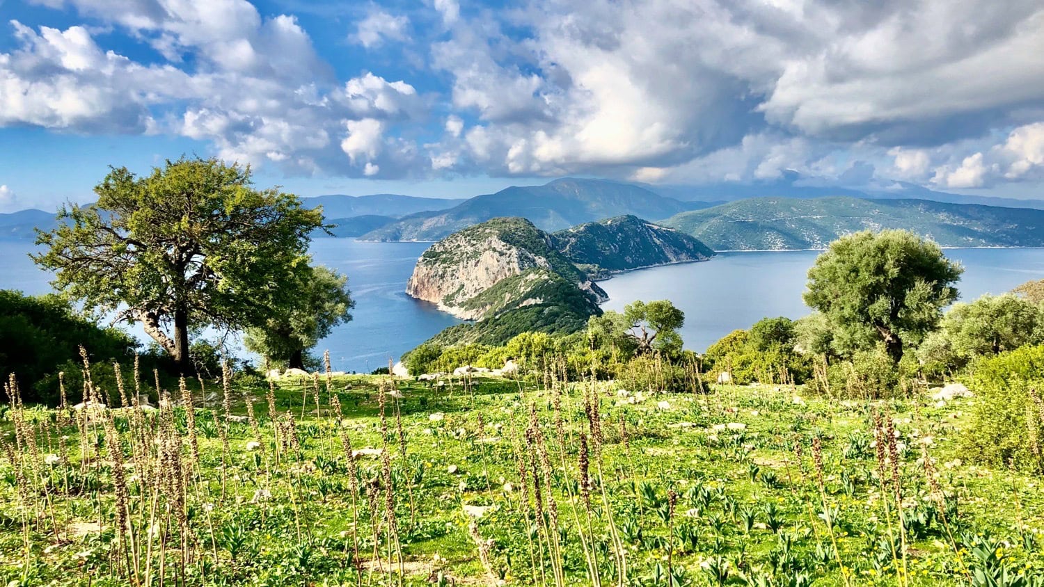 Meganisi Greece - beautiful coastline and olive groves
